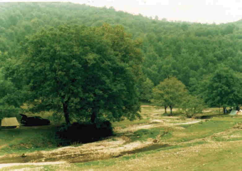 950812.jpg (23887 Byte)