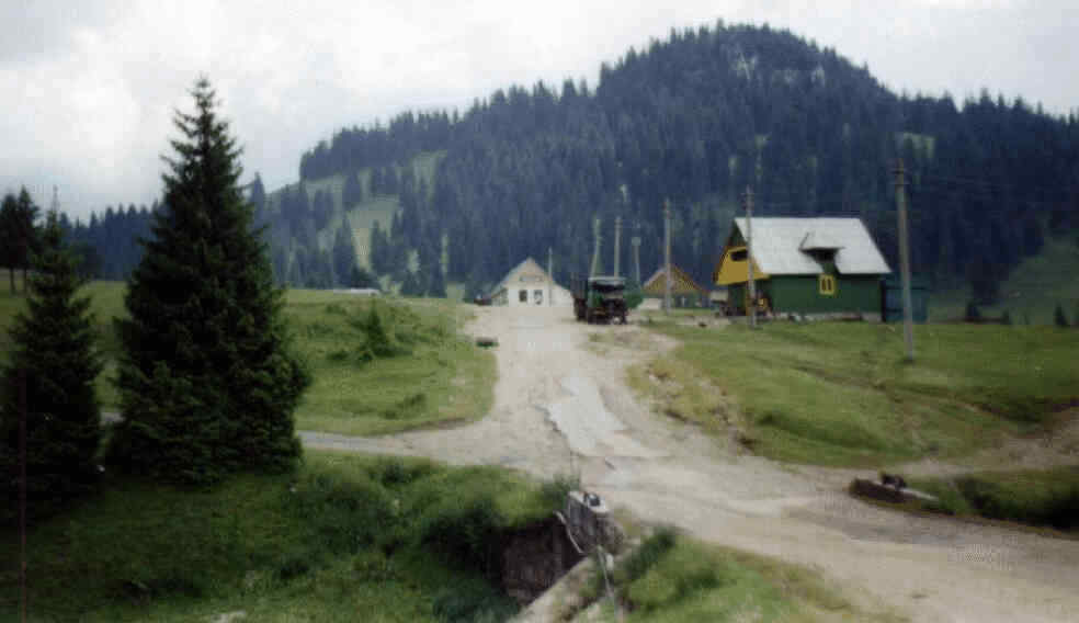 980653.jpg (29784 Byte)