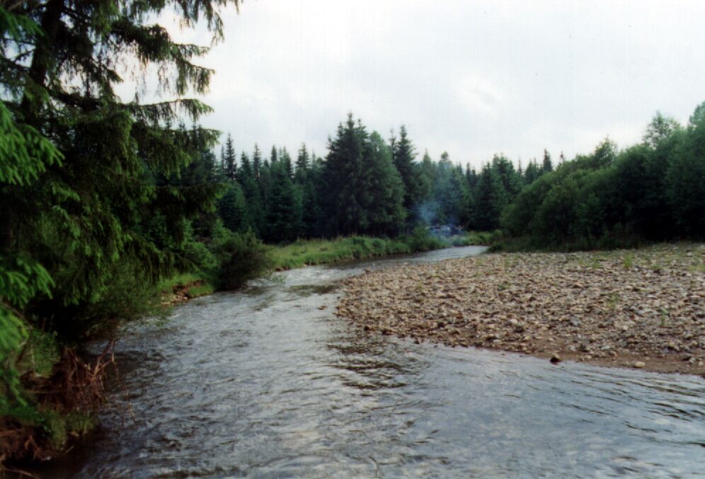 980697.jpg (112662 Byte)